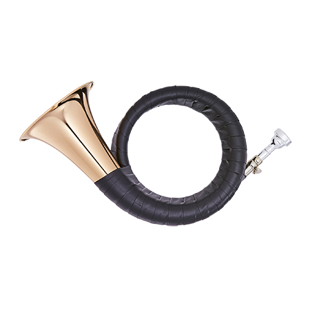 MTP B-Fürst-Pless-Horn Diana